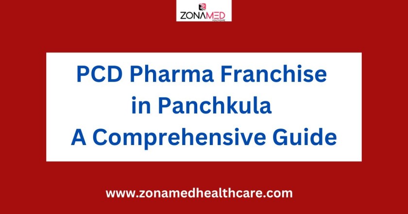 Read more about the article PCD Pharma Franchise in Panchkula: A Comprehensive Guide